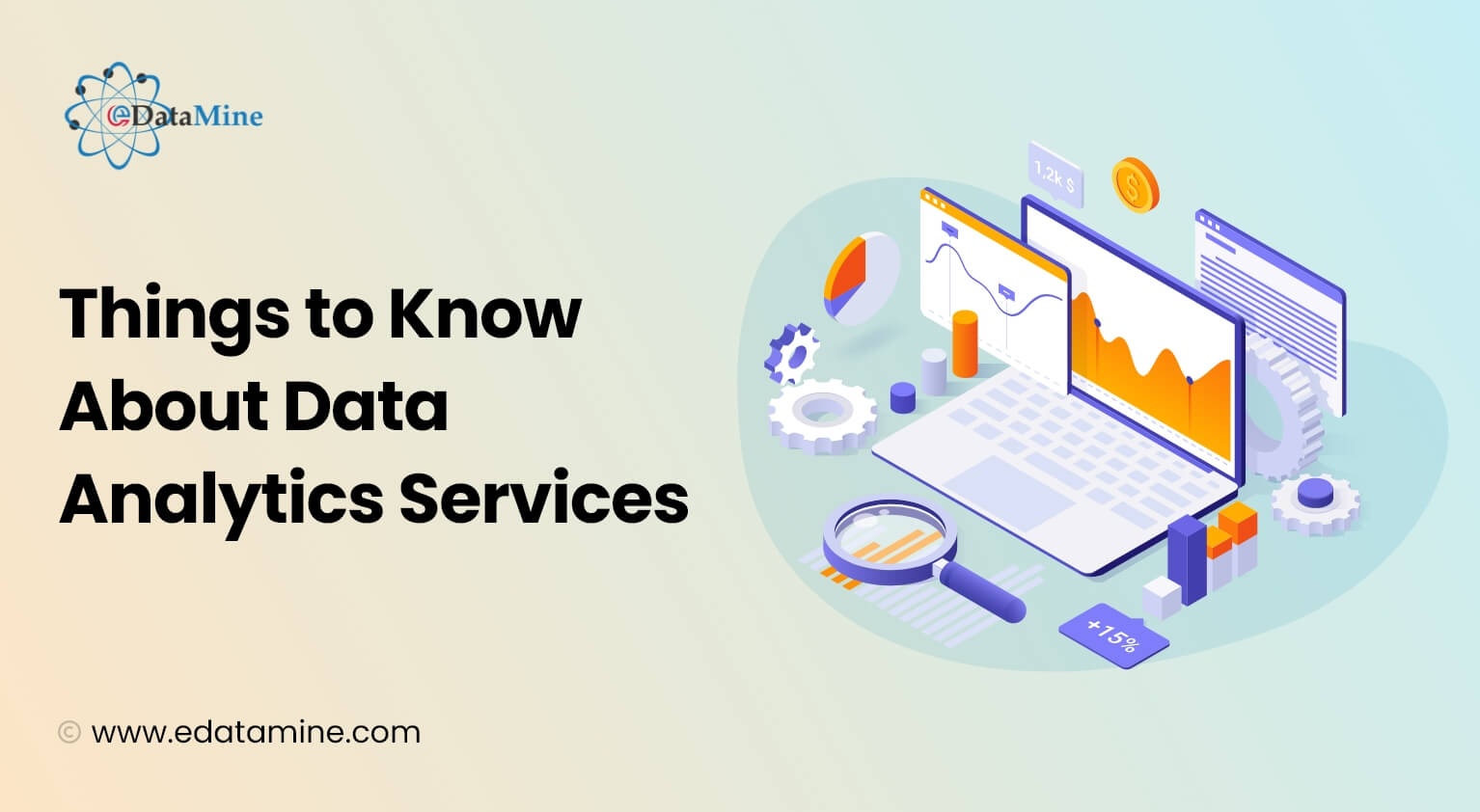 Things to Know About Data Analytics Services
