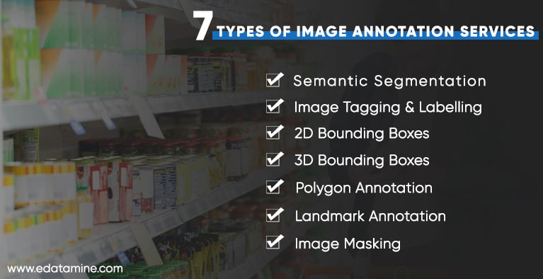 7 Types of Image Annotation Services