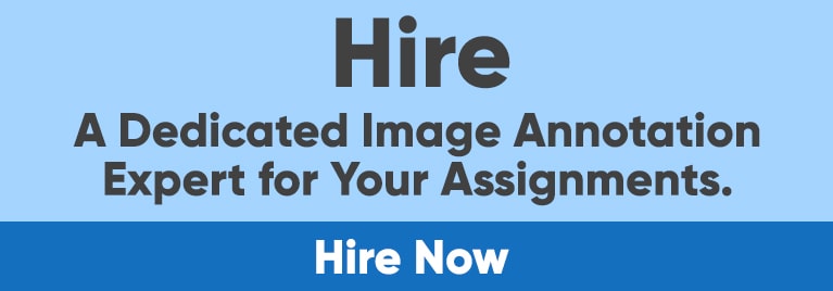Hire Dedicated Image Annotation Expert