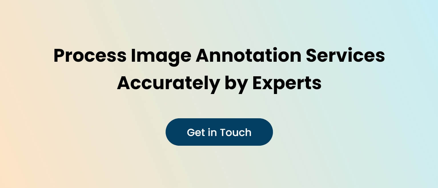 Process Image Annotation Services Accurately by Experts